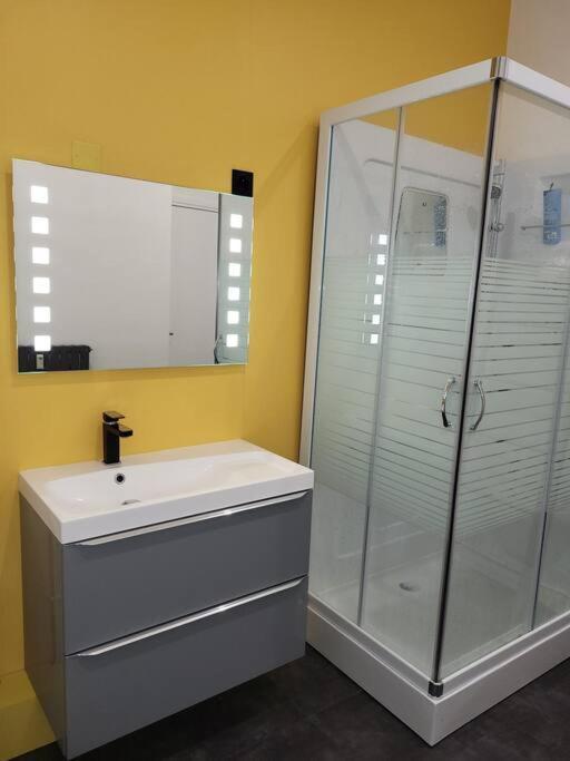 Grand Studio Refait A Neuf Centre-Ville La Bourboule Ngoại thất bức ảnh